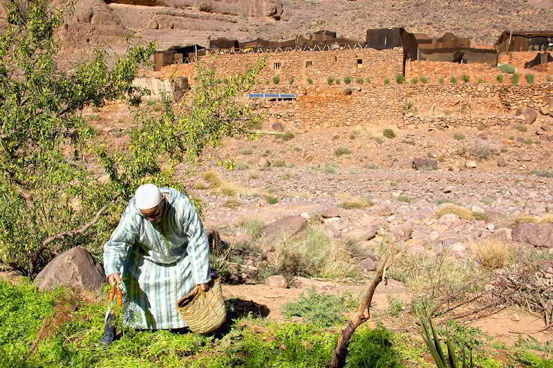 Ecolodge Ouednoujoum Ouarzazate Eksteriør billede